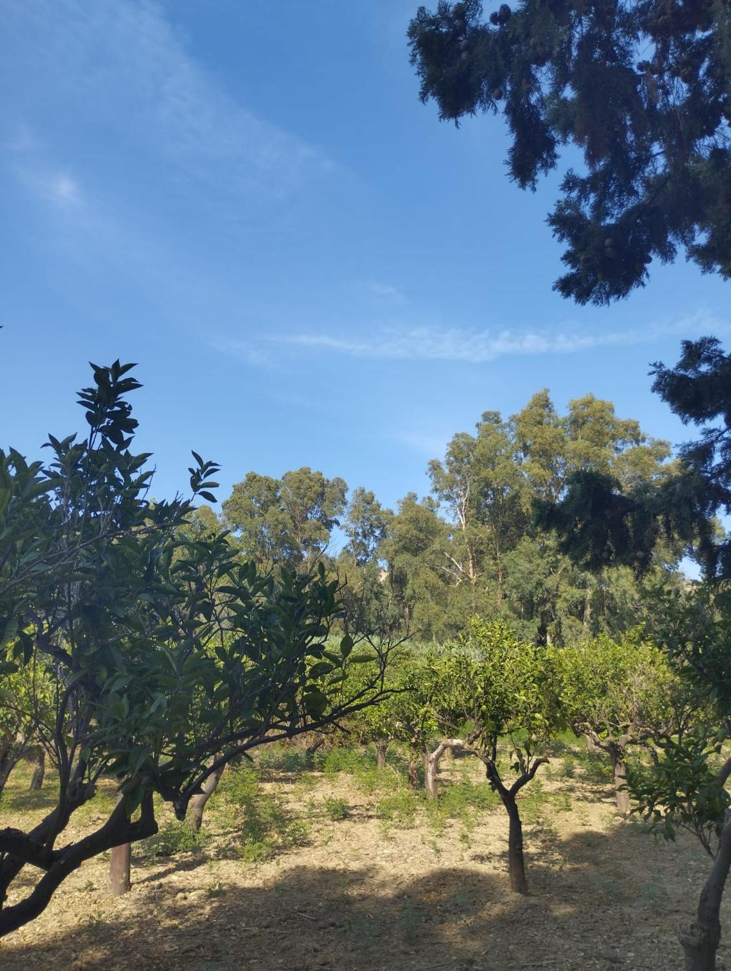 La Villa Di Minerva Agrigento Exterior foto